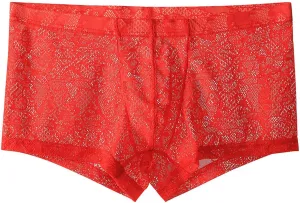 Men's Lace Frilly Thong Panties Sheer Mesh Boxer Briefs Semi Sheer T-back G-string Underwear Lingerie for Men
