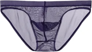 Men's Sexy Fishnet Underwear Low Rise See Through Breathable Erotic Lace Briefs Underpants Purple