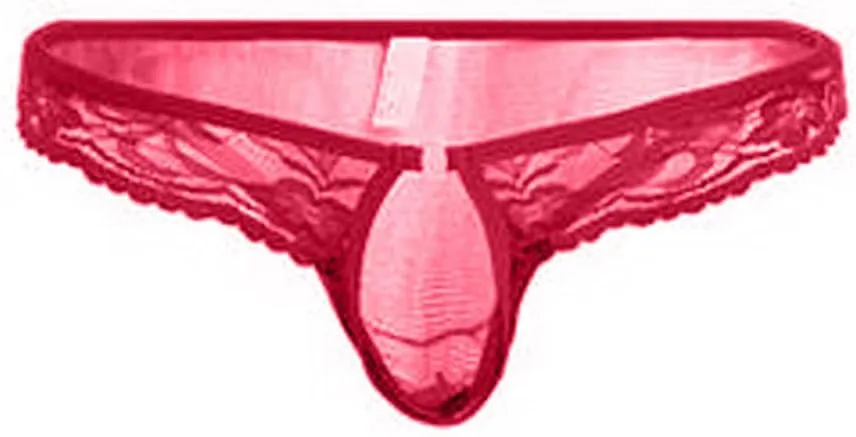 Sissy Lace Panties for Men, Floral Mesh Open Front Thongs Sexy Lace Bikini Briefs Underwear See-Through Underpants