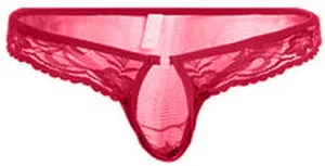 Sissy Lace Panties for Men, Floral Mesh Open Front Thongs Sexy Lace Bikini Briefs Underwear See-Through Underpants